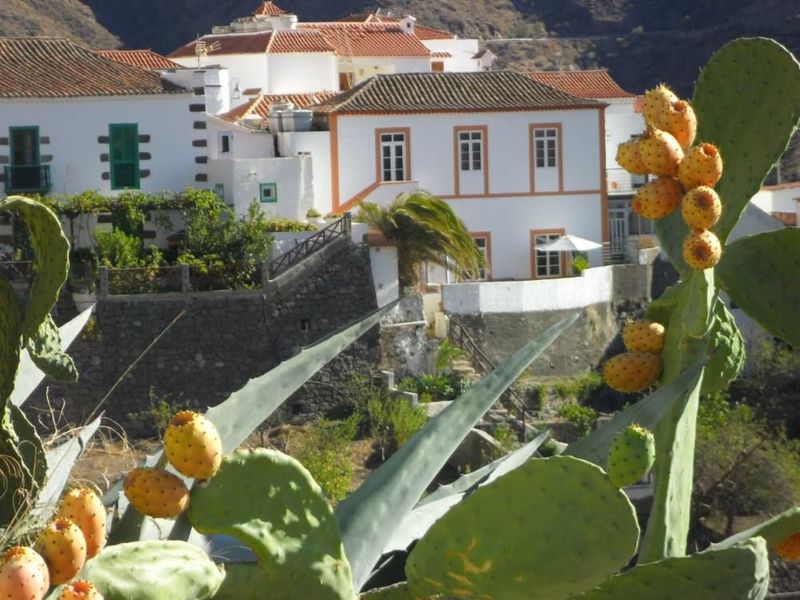 Imagen de alojamiento House in Gran Canaria 101440 Imagen de alojamiento House in Gran Canaria 101440