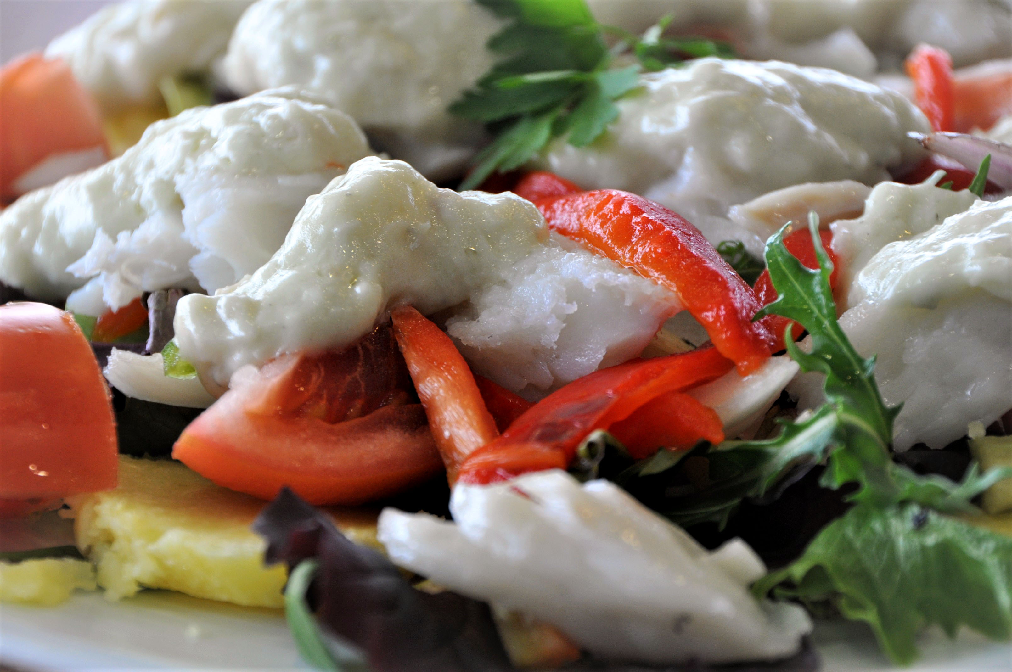 ensalada-bacalao-verduras-pescado-restaurante-bilbao-hostel-bizkaia-euskadi.jpg