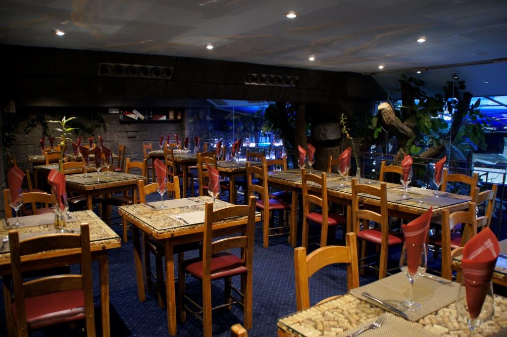 comedor-ambiente-naturaleza-arbol-restaurante-new-scala-bilbao.jpg